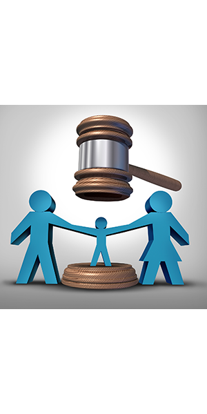 Courts in Texas and now recognizing the need for a Child Custody Evaluation - see Family Evaluation Associates